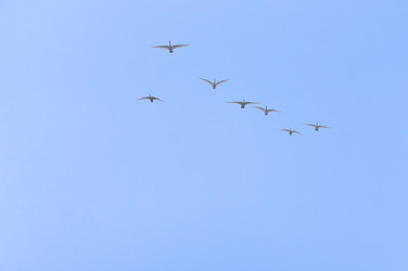 Similar image 21547359