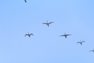 Similar image 21540066