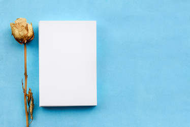 Similar image 21540798