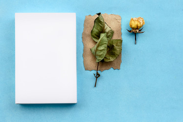 Similar image 21540800