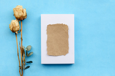 Similar image 21545479