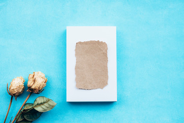 Similar image 21545481