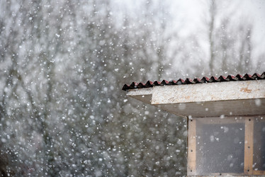 Similar image 21545731