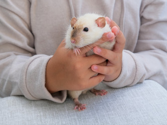 Similar image 21544470