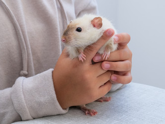 Similar image 21544471