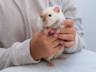 Similar image 21544472