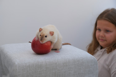 Similar image 21545045