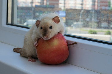 Similar image 21545048