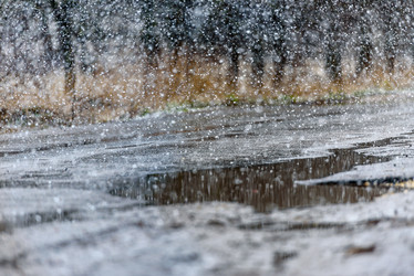 Similar image 21541532