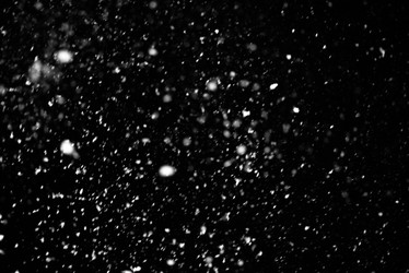 Similar image 21541541