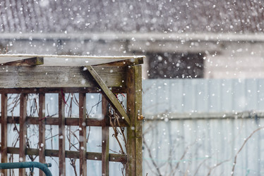 Similar image 21541545