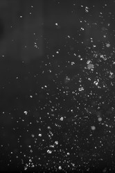 Similar image 21541546