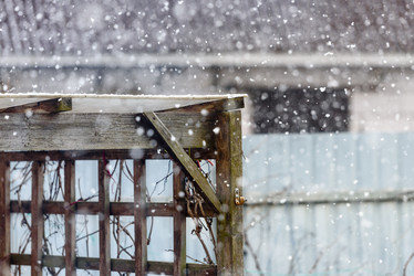 Similar image 21541547