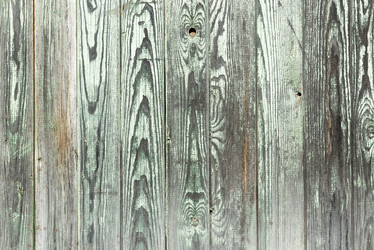 Similar image 21541550