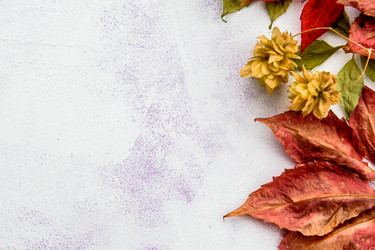 Similar image 21541554