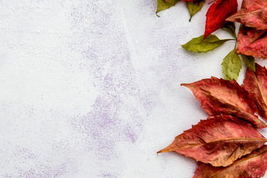 Similar image 21541555