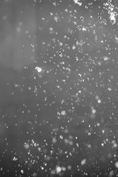 Similar image 21541556