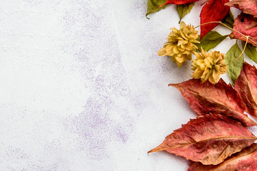 Similar image 21541558