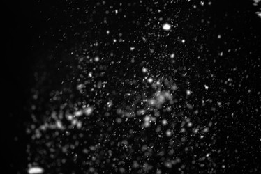 Similar image 21541561