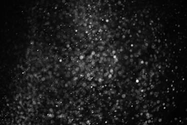 Similar image 21541797