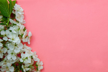 Similar image 21546679