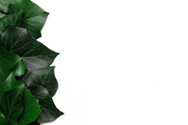 Similar image 21546138