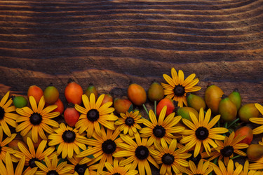 Similar image 21546140