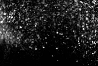 Similar image 21546144