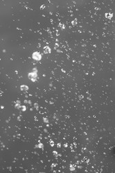 Similar image 21546524