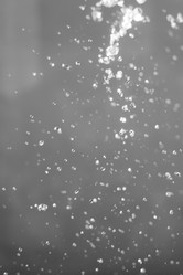 Similar image 21542161