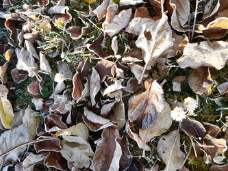 Similar image 21547798