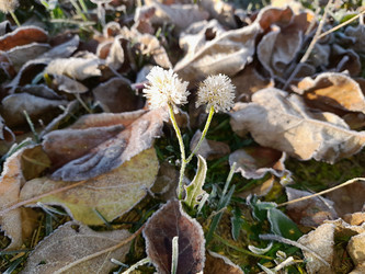 Similar image 21547799