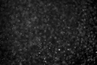 Similar image 21542163