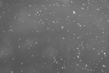 Similar image 21542164