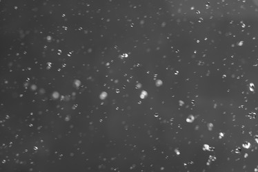 Similar image 21542167