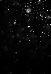 Similar image 21540236