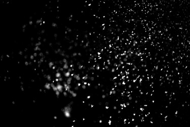 Similar image 21545055