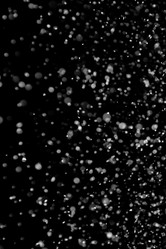 Similar image 21540242