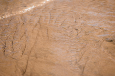 Similar image 21540243