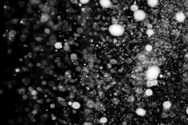 Similar image 21540249