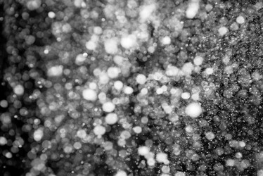 Similar image 21540454