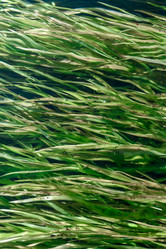 Similar image 21540457