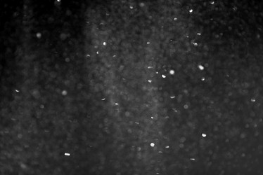 Similar image 21540460