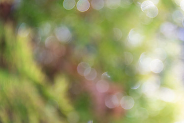 Similar image 21540807