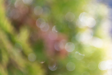 Similar image 21540811