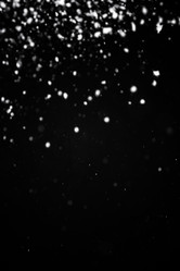 Similar image 21541053