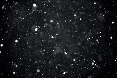 Similar image 21541057