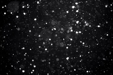 Similar image 21541060