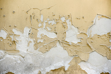 Similar image 21541068