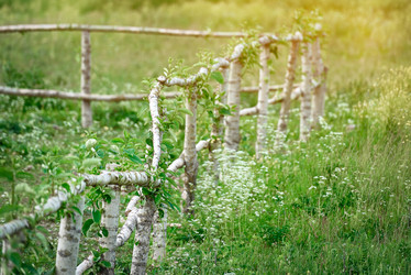 Similar image 21541072